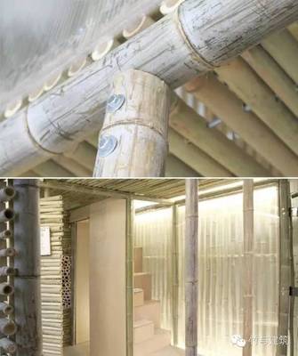 竹构新思 香港蜗居困境下的可持续建筑探索